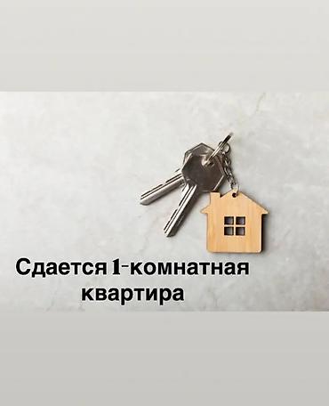 1 комната, Без животных, Без мебели