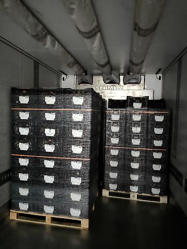 Тюльпан: Платная доставка, Самовывоз — 4