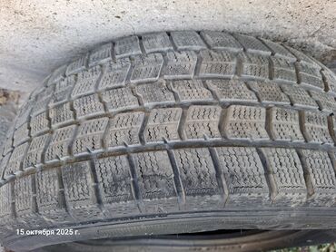 летняя резина 215 60 r16: Шиналар 215 / 60 / R 16, Кыш, Колдонулган, 1 даана, Жеңил унаалар, Жапония, GoodYear