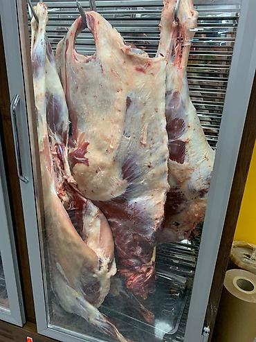 Холодильное оборудование: Для мяса, мясных изделий, Кыргызстан, Новый — 3
