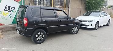 арзан нива: Chevrolet Niva: 2006 г., 1.7 л, Механика, Бензин, Кроссовер — 9