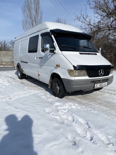 Mercedes-Benz: Mercedes-Benz Sprinter: 1995 г., 2.9 л, Механика, Дизель, Бус