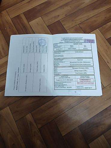 собака бульдок: Продаю | Кобыла (самка) | Английская — 8