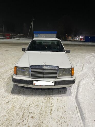 Mercedes-Benz: Mercedes-Benz W124: 1988 г., 2.6 л, Автомат, Бензин, Хэтчбэк