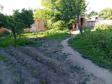 сдаю дом киргизия: Дом, 70 м², 3 комнаты, Собственник, Старый ремонт