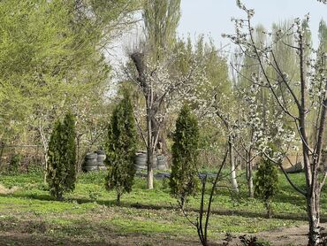 Продажа домов: Дом, 200 м², 13 комнат, Собственник, Косметический ремонт — 7