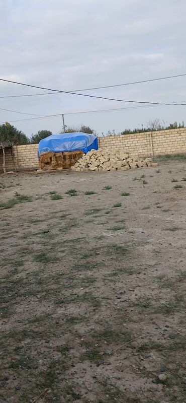 Torpaq sahələrinin satışı: 80 sot, Kənd təsərrüfatı, Mülkiyyətçi, Kupça (Çıxarış) — 3