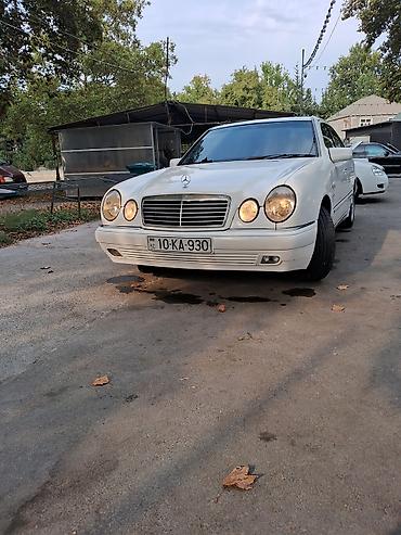 volkswagen passat 1: Mercedes-Benz E-Class: 2.3 л | 1996 г. Седан — 10