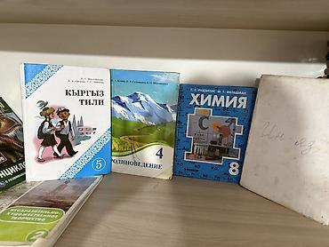 Китептер: Школьные учебники и пособия (подборка разных предметов и классов) цены — 1