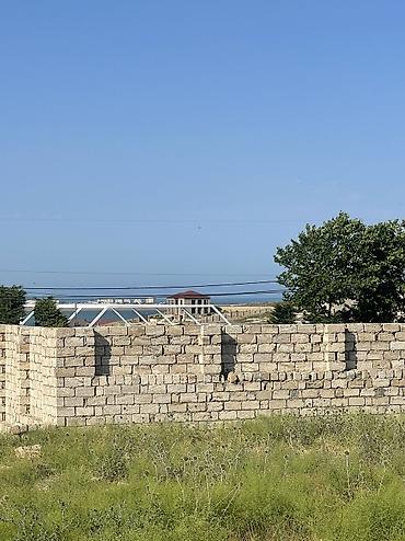 tap az qobuda torpaq: 6 sot, Tikinti, Mülkiyyətçi, Kupça (Çıxarış) — 6