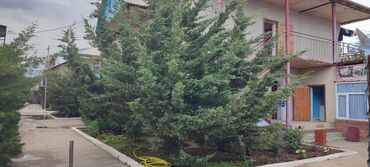 работа для детей 8 лет с зарплатой: Требуется Горничная