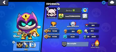 сокулук кун туу: Представляем аккаунт в мобильной игре Brawl Stars, который включает в