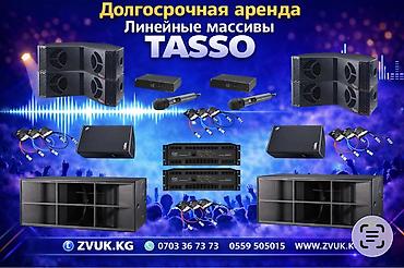 Долгосрочная аренда: или Продажа линейные массивы TASSO