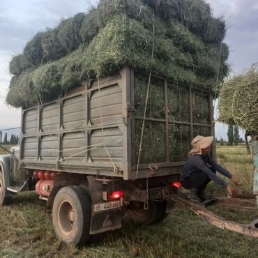 Грузовики: Грузовик, ЗИЛ, Стандарт, Б/у — 5