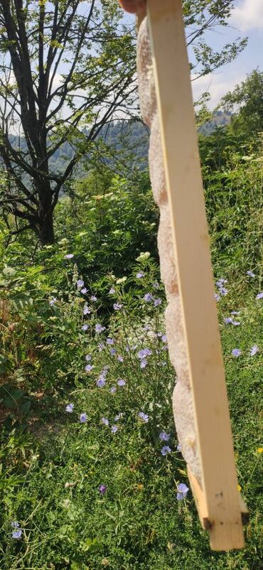 Bal: ELF BEE'S 1977 ECO-PRODUCT FOR HEALTH AND LONGEVITY Tovuzun -da lalafo.az — 21 Bal: ELF BEE'S 1977 ECO-PRODUCT FOR HEALTH AND LONGEVITY Tovuzun — 21