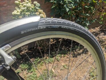Bicikli za odrasle: Električni bicikl Vital Bike u srebrnoj boji. Ima ram standardne — 10