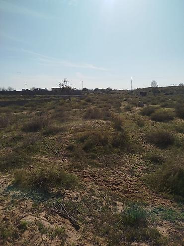 bulbule qesebesi: 12 sot, Tikinti, Maklerlər narahat etməsin, Kupça (Çıxarış) — 5