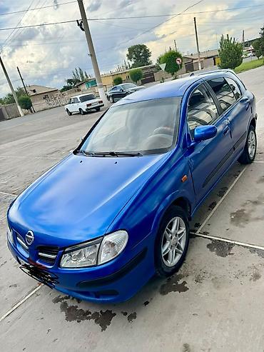 Nissan: Nissan Almera: 2001 г., 1.8 л, Бензин, Хэтчбэк — 5