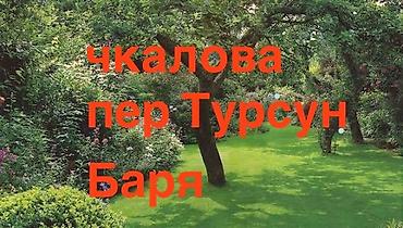 5 соток