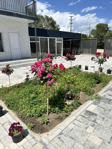 Отели и хостелы: 🏡 ЭЛИТНЫЙ ГОСТЕВОЙ ДОМ В СТИЛЕ LOFT В ЧОЛПОН-АТЕ | ГОТОВЫЙ БИЗНЕС И — 5