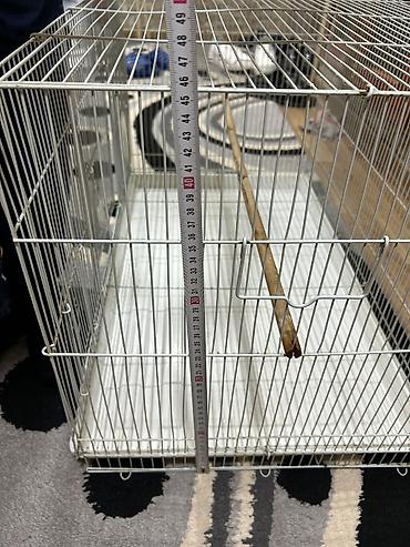 quş yuvasi: Böyük ölçülü quş qəfəsi - Material: möhkəm metal tor, ağ rəng - — 6