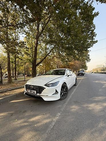 капот карнивал: Hyundai Sonata: 2022 г., 2 л, Автомат, Газ, Лифтбек — 2