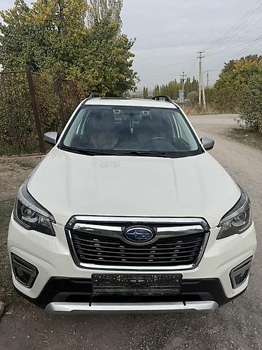 чехлы бу: Subaru Forester: 2019 г., 2.5 л, Вариатор, Бензин, Кроссовер — 1