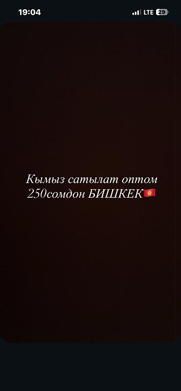 кобыла: Кымыз, саамал, Оптом, Самовывоз, Платная доставка — 1