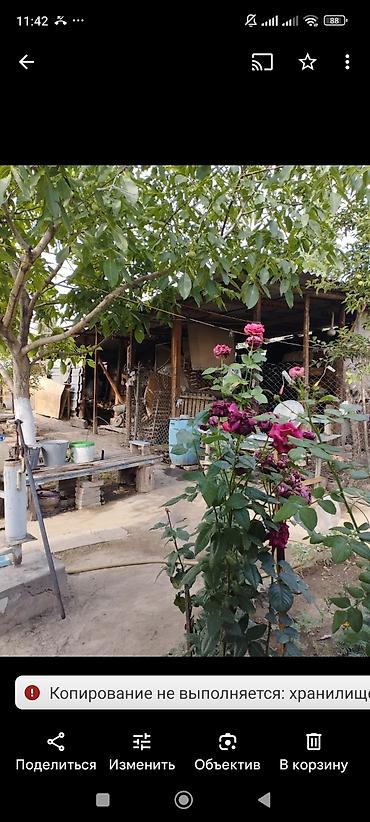 Продажа домов: Дом, 8 м², 6 комнат, Собственник — 19