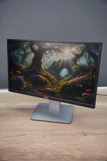 маниторы б у: Монитор, Dell, Колдонулган, LCD, 22" - 23"