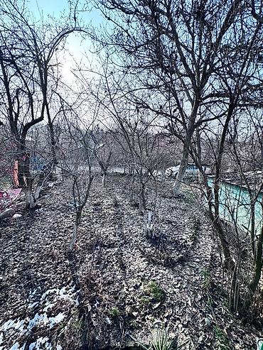 Продажа дач: Продается ДАЧА !!! Село Таш Мойнок ДОО « Горное « Участок 6 5 соток — 12