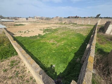 Torpaq sahələrinin satışı: 25 sot, Tikinti, Mülkiyyətçi, Kupça (Çıxarış) -da lalafo.az — 10 Torpaq sahələrinin satışı: 25 sot, Tikinti, Mülkiyyətçi, Kupça (Çıxarış) — 10