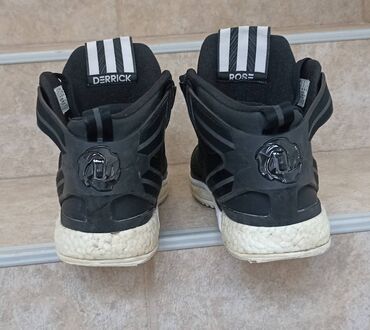 Patike: Patike, Adidas, veličina - 44.5 — 4