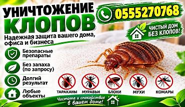 спортивный костюм для мальчика: Дезинфекция, дезинсекция, | Клопы, | Дома — 1