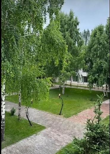 Продажа квартир: 3 комнаты, 50 м², Евроремонт — 10