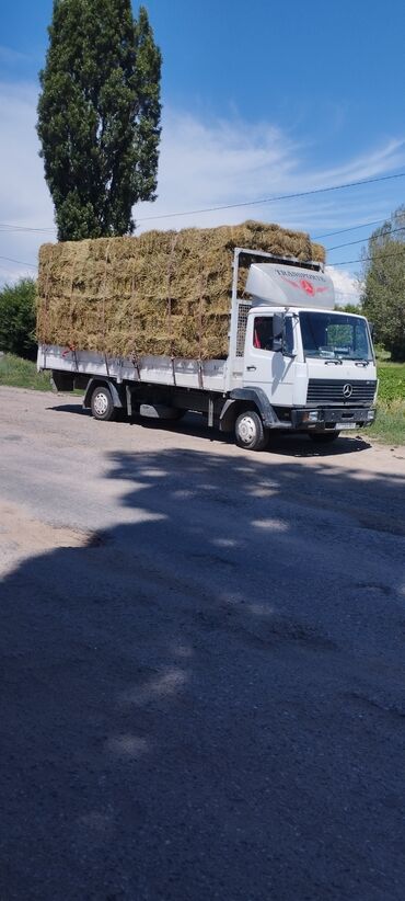 купить грузовой mercedes: Легкий грузовик, Б/у