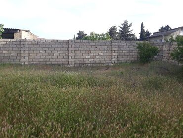 Torpaq sahələrinin satışı: 12 sot, Makler, Kupça (Çıxarış) — 3