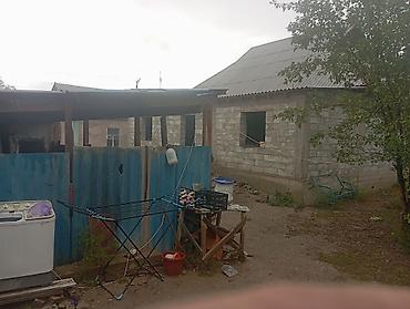 садовая скульптура: Плодоносящий участок с многолетними насаждениями - Участок под — 3