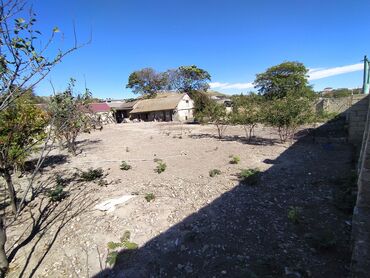 Torpaq sahələrinin satışı: 6 sot, Kənd təsərrüfatı, Kupça (Çıxarış) — 6