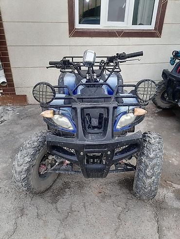 atv 12 old: Квадроцикл Yamaha, Бензин, 200 куб. см, Взрослый — 1
