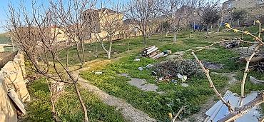 tovuzda: 3 sot, Tikinti, Mülkiyyətçi, Kupça (Çıxarış) — 5