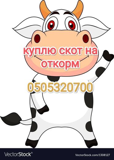 для животных: Куплю | Коровы, быки, Лошади, кони | На откорм, Откормленные, Самовывоз