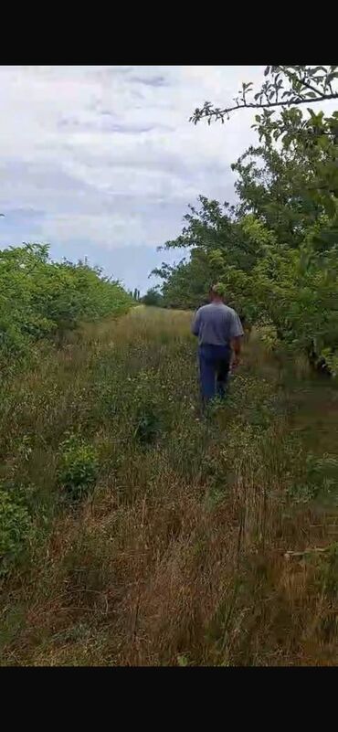 Torpaq sahələrinin satışı: 150 sot, Biznes üçün, Barter mümkündür, Kupça (Çıxarış) — 7