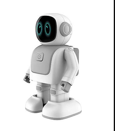 робот роботизированная: Робот Kid Joy Dance Robot Robert RS01, серый Интерактивный танцующий — 2