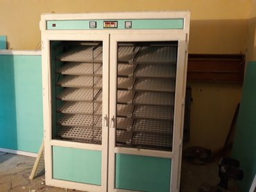 yu gi oh karte in Azərbaycan | AVTOYUMA APARATLARI: (inkubator 5000)avtomatlaşdırılmış ən son rəqəmsal model inkubator