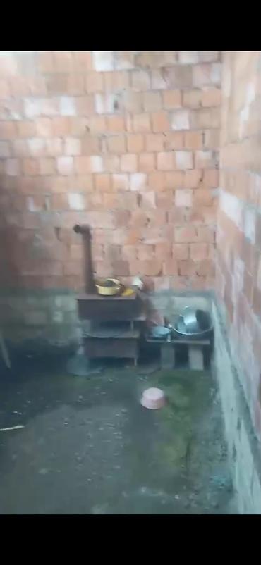 Torpaq sahələrinin satışı: Kənd təsərrüfatı — 9