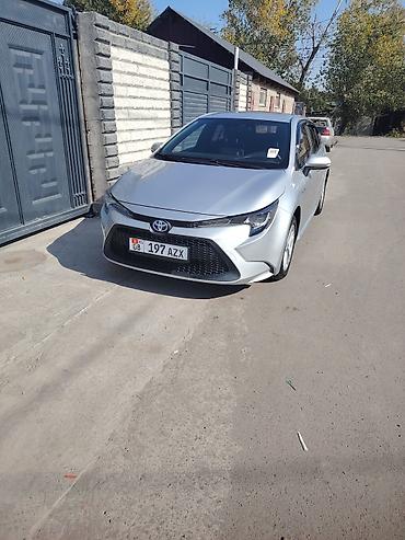 Toyota: Toyota Levin: 2020 г., 1.8 л, Вариатор, Гибрид, Седан — 2