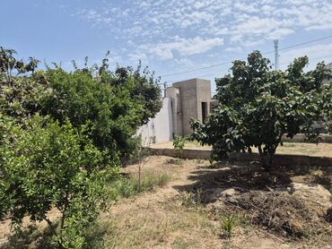 Həyət evləri və villaların satışı: Buzovna 3 otaqlı, 71 kv. m, Kredit yoxdur, Orta təmir — 6