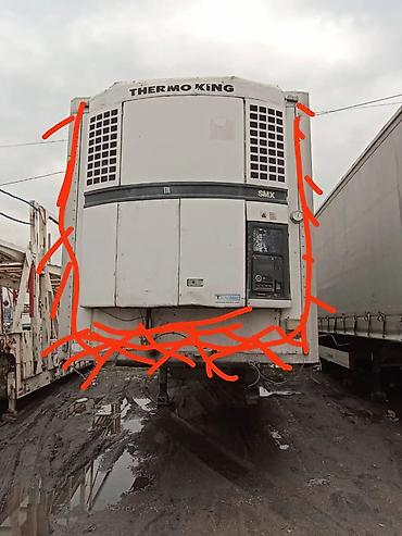 saf: Прицеп, Volvo, Холодильник, рефрижератор, от 12 т, Б/у — 1