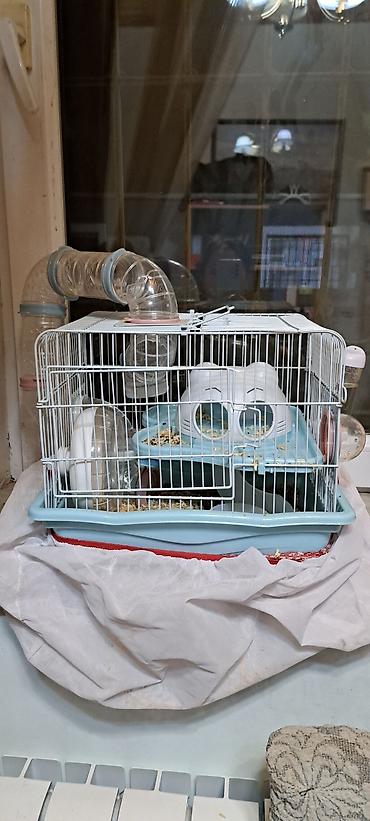 heyvan sikisi: Hamster üçün tam dəst qəfəs - Rəng: açıq mavi altlıq, ağ barmaqlıq - — 5